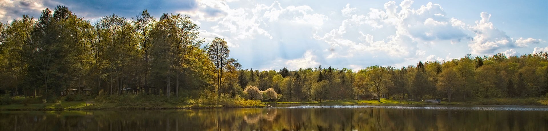 White Ash Land Association